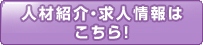 人材紹介情報
