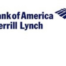 Bank of america merrill lynch 3